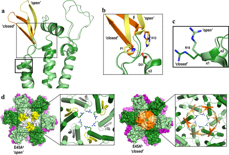 Sarafianos Lab tweet media
