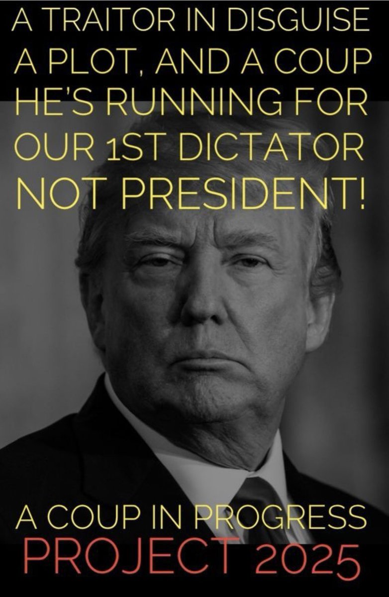 Do you think I am correct when I say if he is not disqualified...he will do everything in his power to make this happen...America don't be foolish....Vote 💙