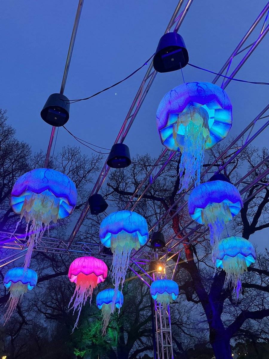 bea_green's tweet photo. Yes, the jellyfish were beautiful. https://t.co/3J665LVkvg