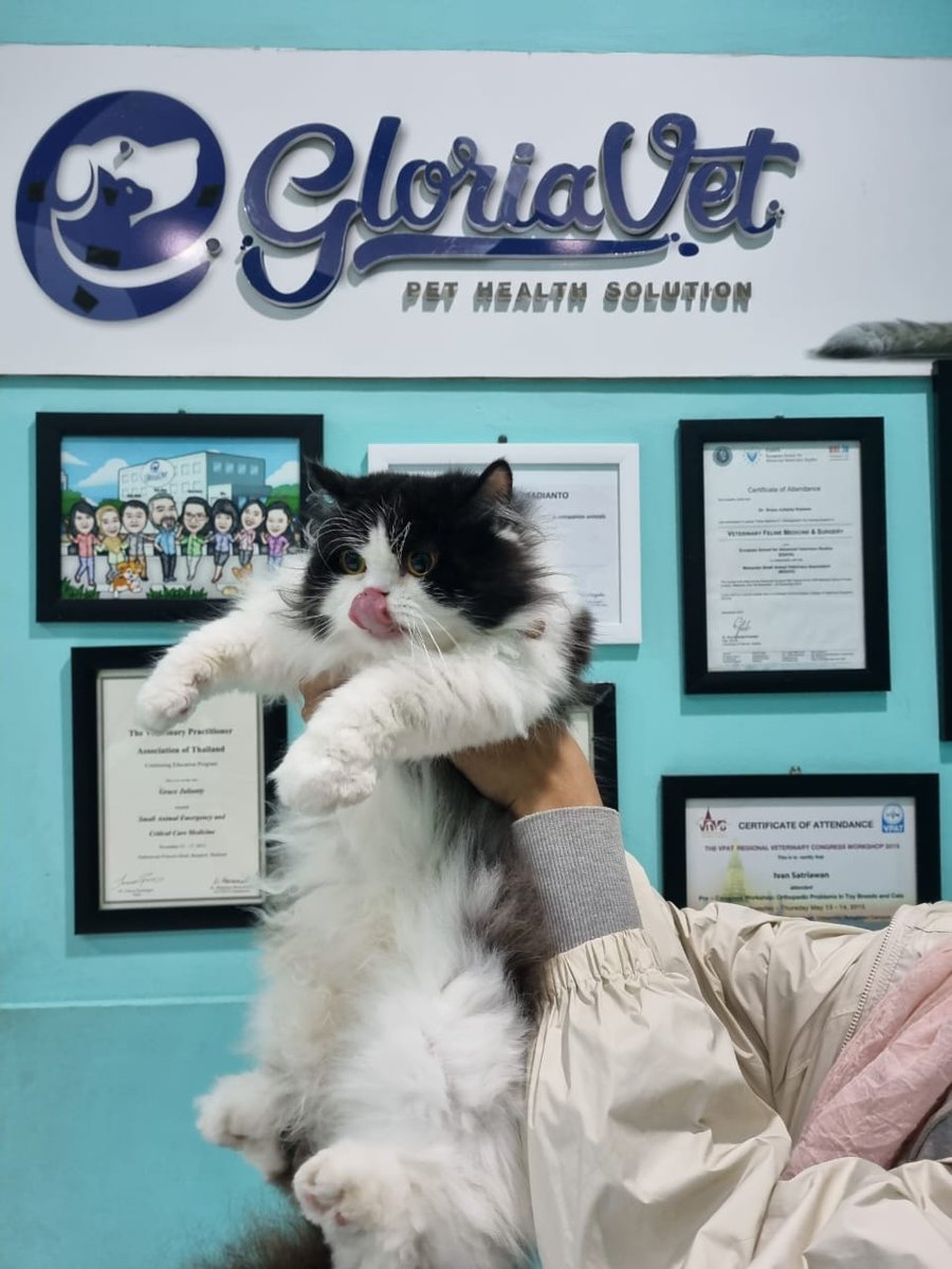 미원 Miwon FIP Survivor tweet media