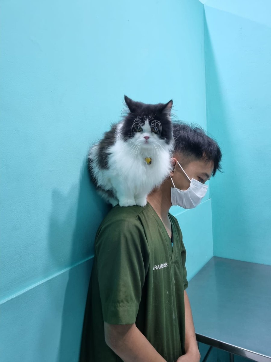 미원 Miwon FIP Survivor tweet media