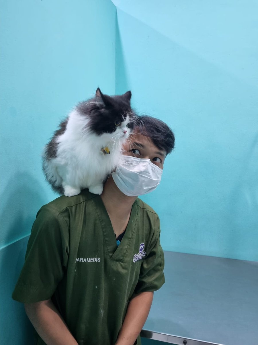 미원 Miwon FIP Survivor tweet media