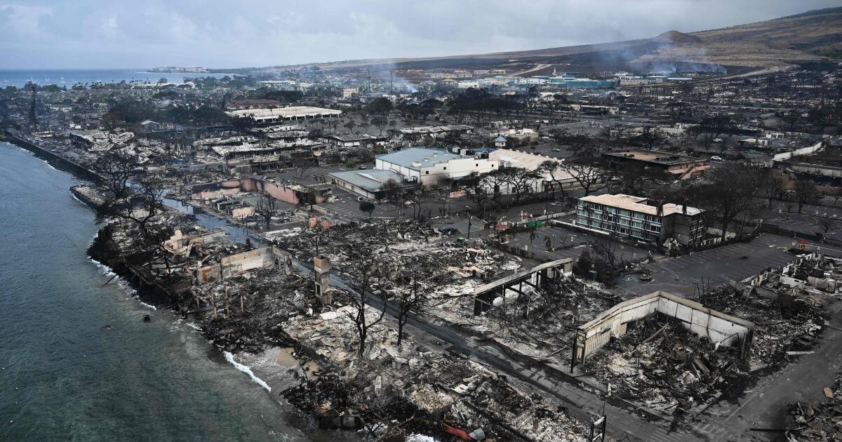 ScientologyVMUK's tweet photo. Please get in touch if you can go for at least 10 days to help our team with the relief efforts on Maui Island. https://t.co/UVl1d0gpbu