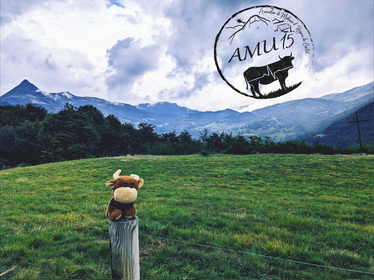 Un grand merci : 
A Clement, pour la logistique, la bonne humeur, sa "patte" pendant ces deux jours
Au Conseil Départemental du Cantal.
A la station du Lioran
A la mairie d'Aurillac
Au CH Aurillac
Aux U du CHU qui se reconnaîtront qui apportent leur soutien
A mes collègues