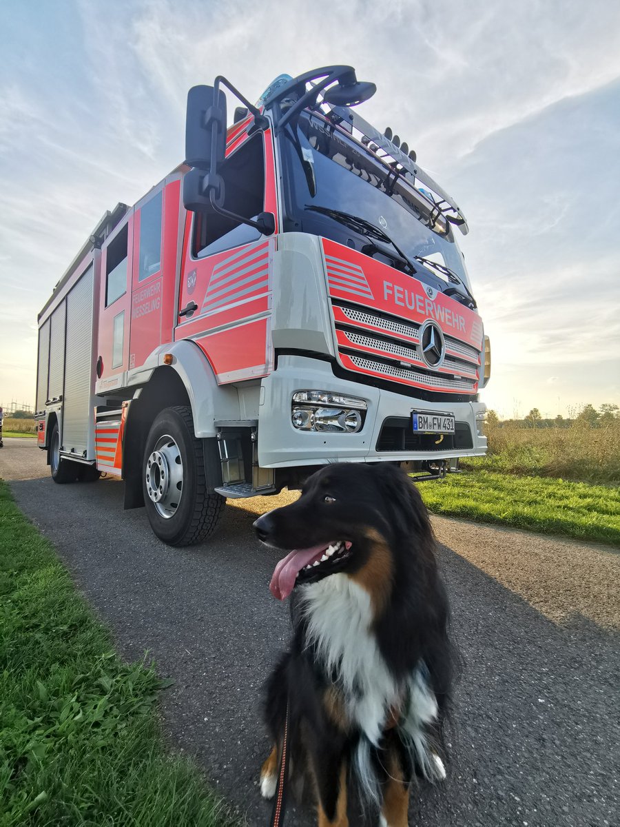 #Coppernicus "Firefighter Dog" on Duty