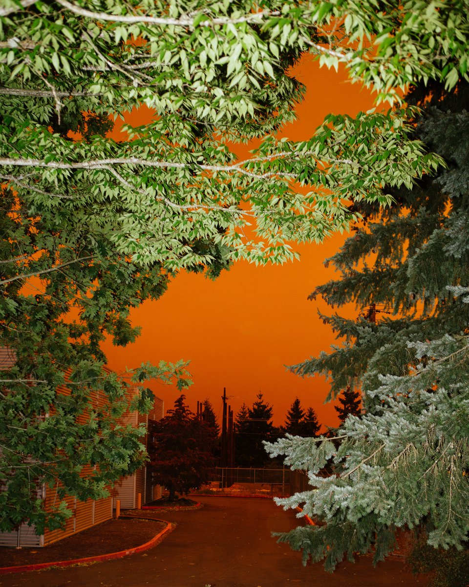 Macalester Alumni tweet media