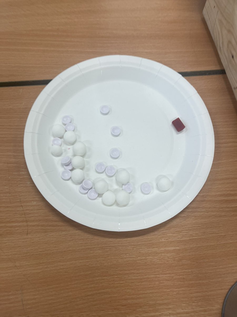 Year6Markeaton's tweet image. 🧠 We learned about natural selection and “survival of the fittest” when our predators (Y6s) ate their prey (sweets) and meant that some species became extinct as they could not reproduce offspring. The variations in sweets meant some were less tasty than others. #MPSScience