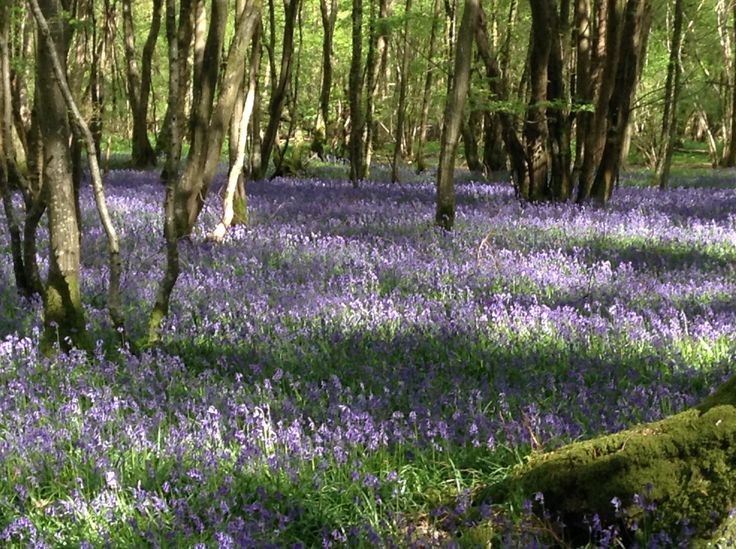 your daily dose of escapism.