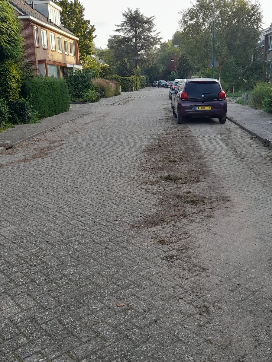 Saskia te Velde 🏃♀️🚴♀sportdoetmeer tweet media