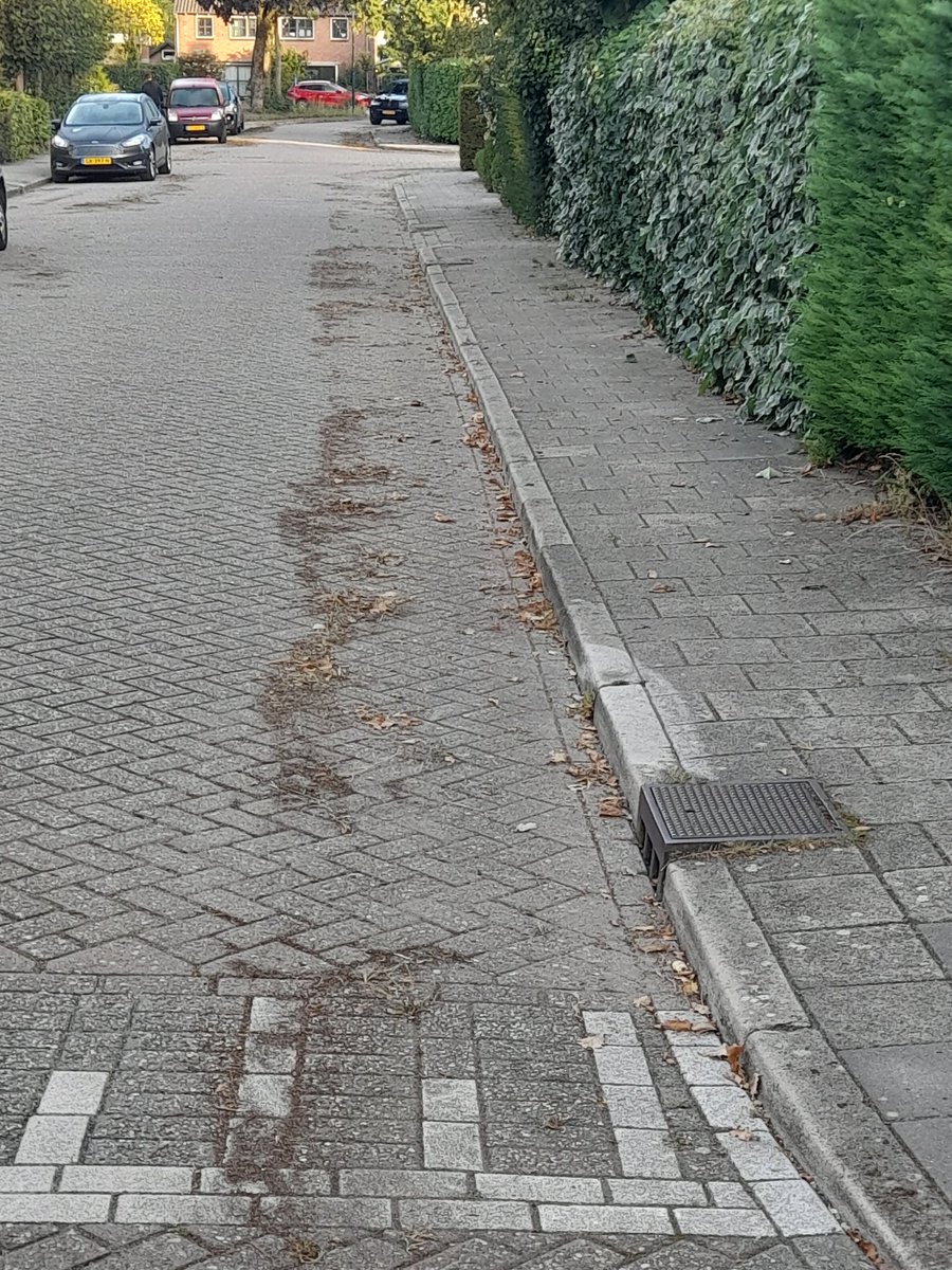 Saskia te Velde 🏃♀️🚴♀sportdoetmeer tweet media