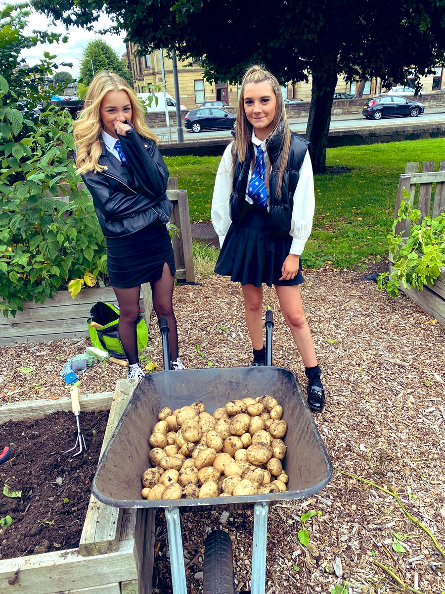 MsWallis1's tweet photo. It’s been such a busy return to school in our garden. We have been quite stunned by just how well everything grew over the summer. @Paisley_Grammar @AngelaSmith_xo @RHSSchools https://t.co/HEWz1MhaZB
