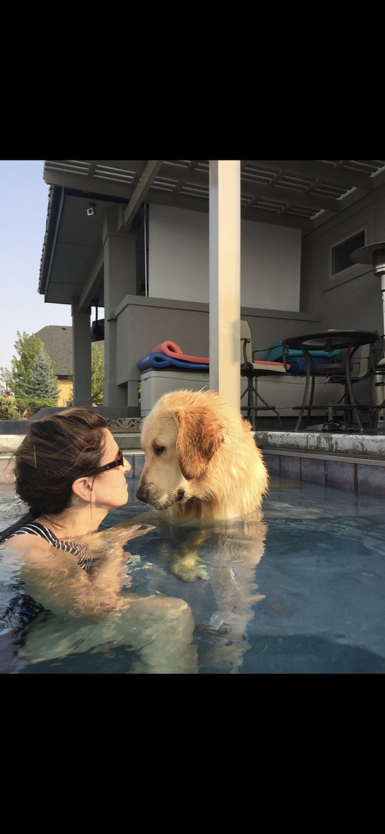SLBake1031's tweet photo. Hey friends! This video and pictures were taken 5 years ago. We were 9 months old. We we’re trying to learn the techniques involved in being a resort trained dog.😉😉 We graduated by the end of summer!
😎😎🏊‍♂️🏊‍♂️☀️☀️#ThrowbackThursdays #puppytraining #LearningtheRopes https://t.co/xKiSDoVYiK