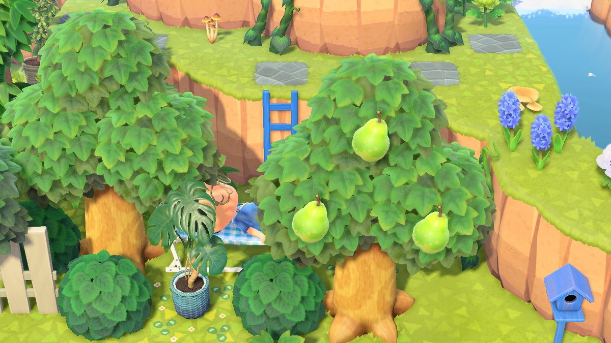 Sol_Crossing's tweet photo. #AnimalCrossing #ACNH #NintendoSwitch https://t.co/N324rlwoWM