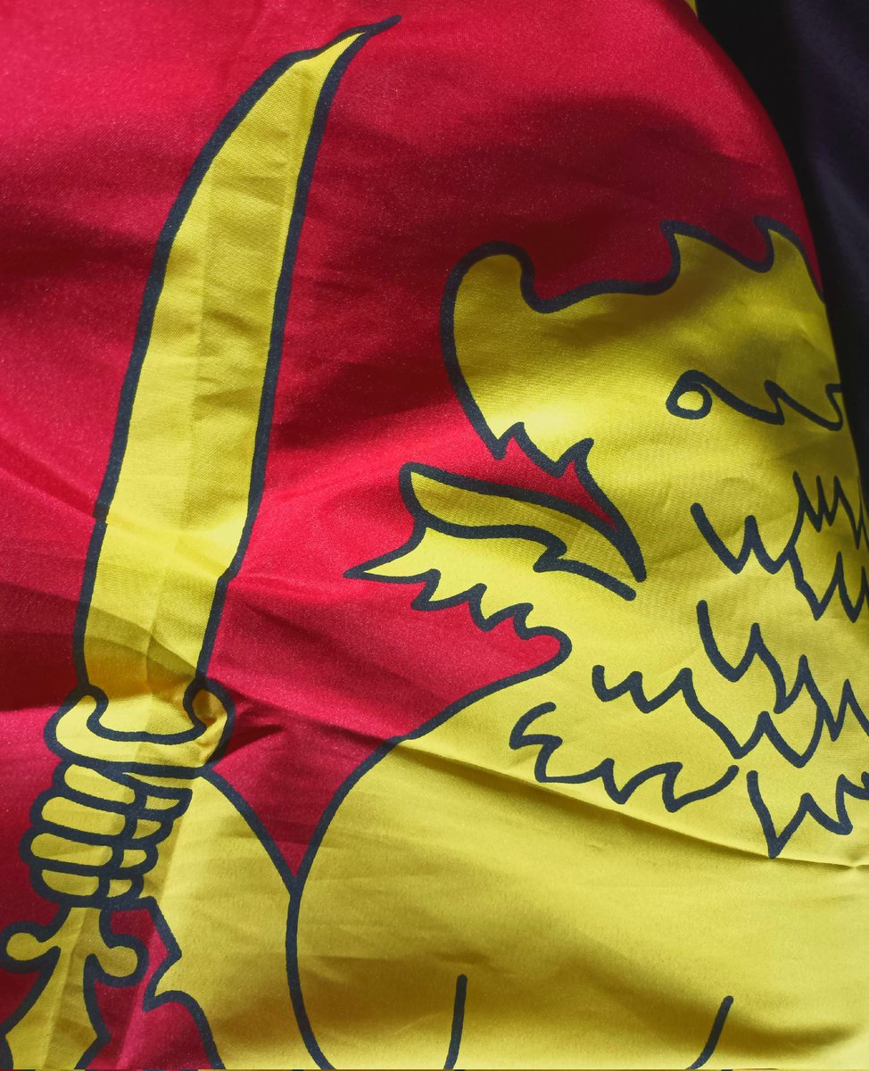 Will the Lankan lions 🦁 conquer the Shaheens? It's a showdown in the #AsiaCup2023  #SLvPAK #CricketAction