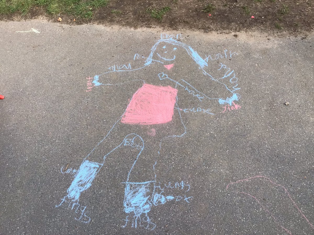 BDP_Year1's tweet photo. In Science we went outside and labelled the different body parts on humans. Then we discussed how we are different to other animals 🧍🧍‍♀️ @bentondeneprim https://t.co/RUEd8v7COQ