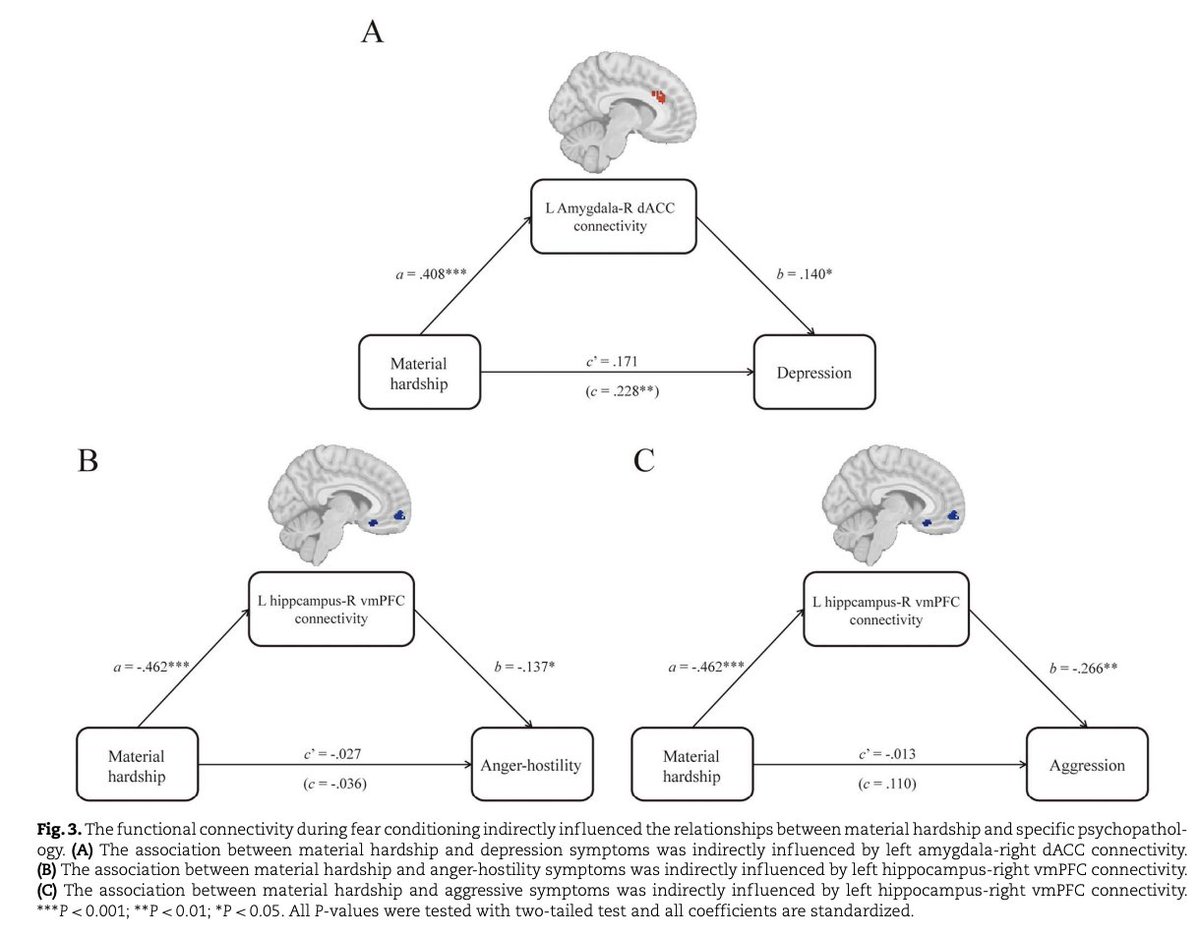 Exploring the association between early exposure to material hardship and psychopathology through indirect effects of fronto-limbic functional connectivity during fear learning academic.oup.com/cercor/advance…