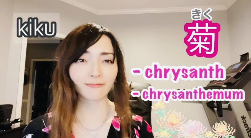 mihoakamimo's tweet photo. ่(ใใ kiku)
*chrysanth; chrysanthemum
For the full lesson, please check my YouTube channel ๐๐ฝ๐ฝ๐ฝ
https://t.co/P8ox8T7EfH
(Japanese/English)
#learnjapanese
#japanesepitchaccent
#quicklessons https://t.co/aZjykiIPDf