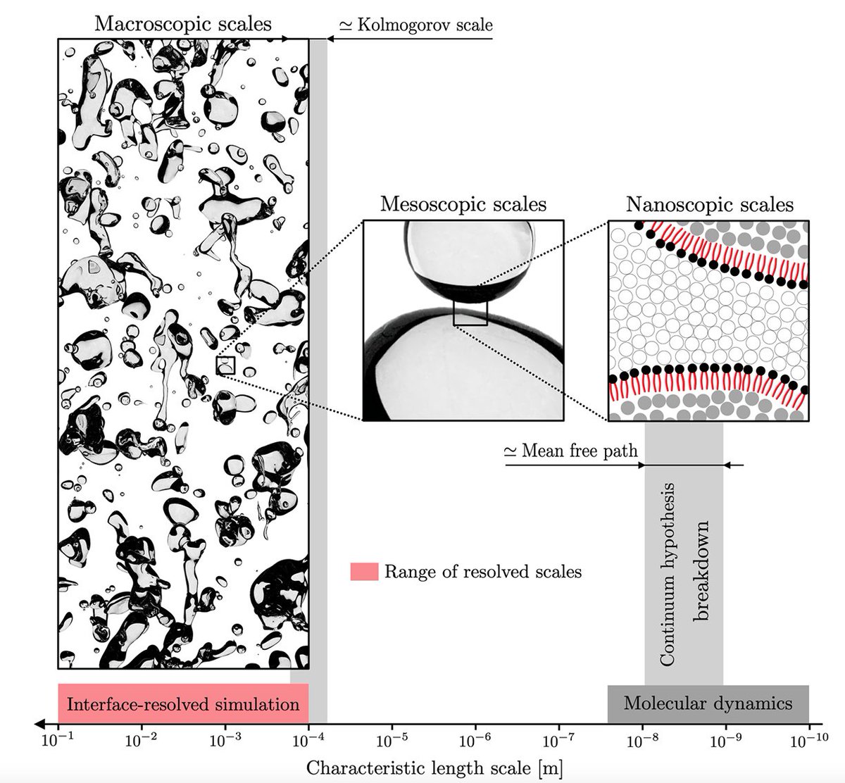 APSphysics's tweet photo. #PRFluids Invited Paper: Turbulent flows laden with bubbles/drops are part of everyday life: from rain, and mists to paint sprays. Here, Roccon et al. show how the complicated, multiscaled interactions can be better understood with Phase-field modeling. https://t.co/waQ6z6iQXI https://t.co/JkCq8838bz