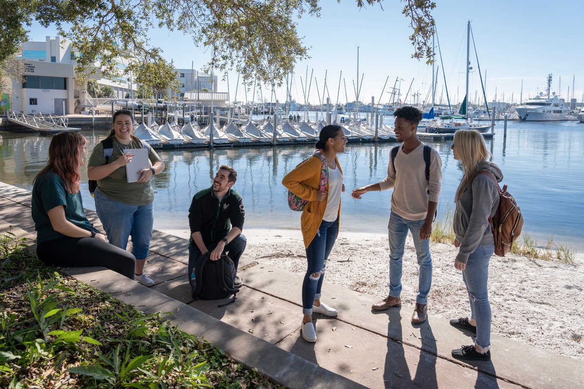 USouthFlorida's tweet photo. Hi from the waterfront👋

📍USF St. Petersburg campus https://t.co/JxXG7J1uLF