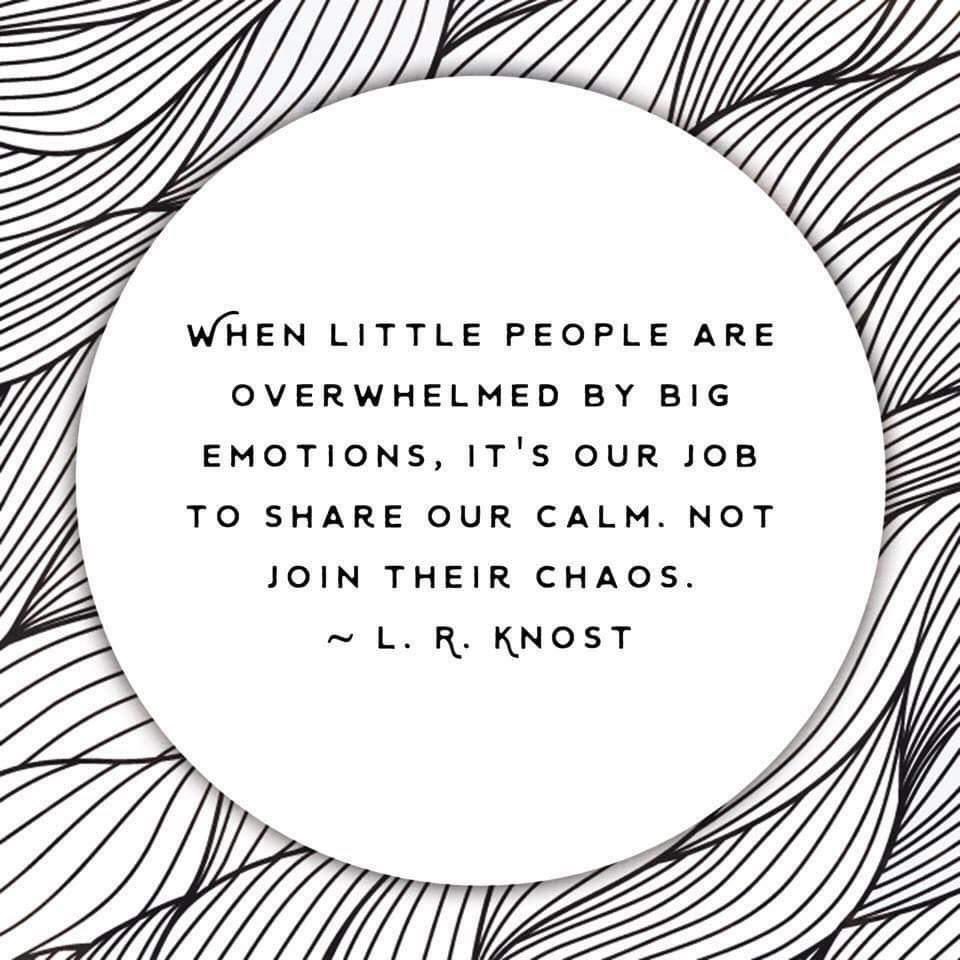 MrsWattSMOS's tweet photo. A powerful reminder ⭐️

#parent #teacher #listen #calm #sooth #regulate #emotions https://t.co/JvsMvoTOSU