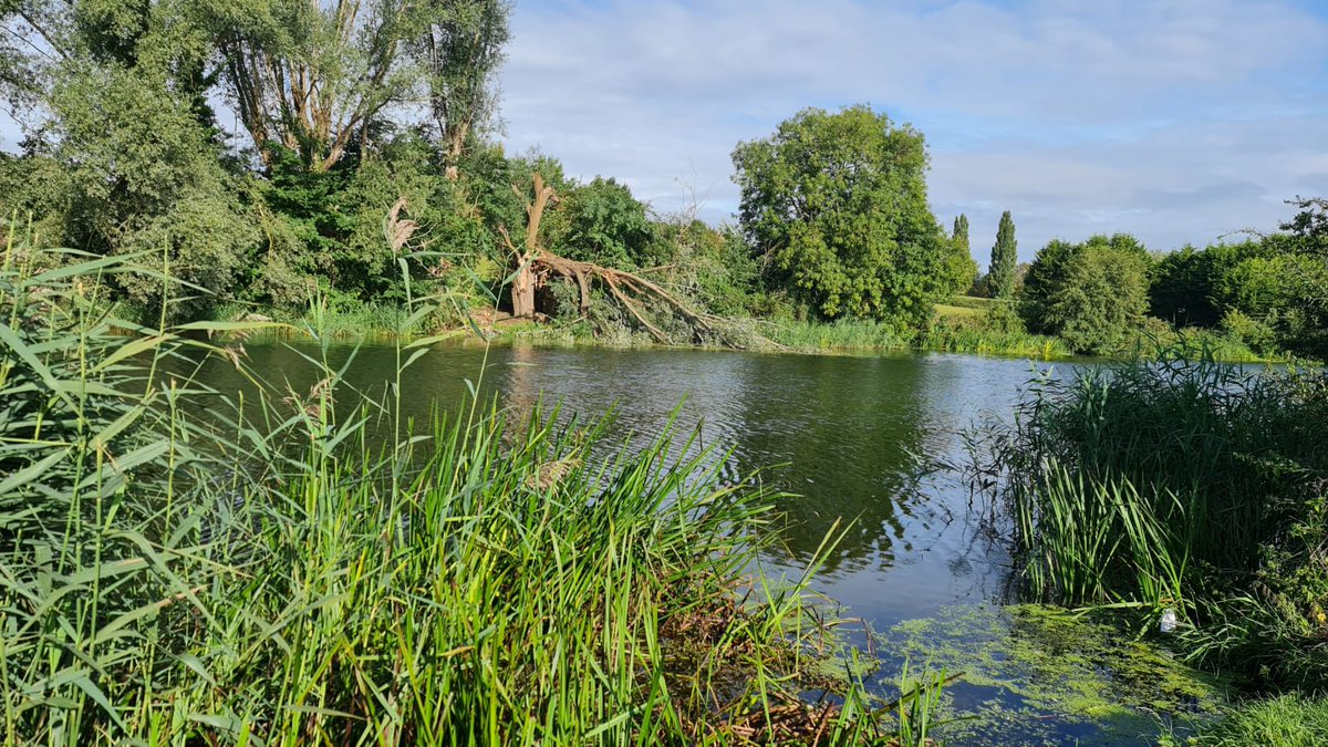 oasiscomhousing's tweet photo. 🥾🌳 It's one week since Philip Le Marquand set off on his 385-mile walk from our Projects in Peckham to our Gateshead Basis homeless drop-in for #hopenothomelessness. 

Today's route takes Philip along part of the Great Ouse river. He aims to reach Peterborough by the weekend. https://t.co/QIYq1OIzYN