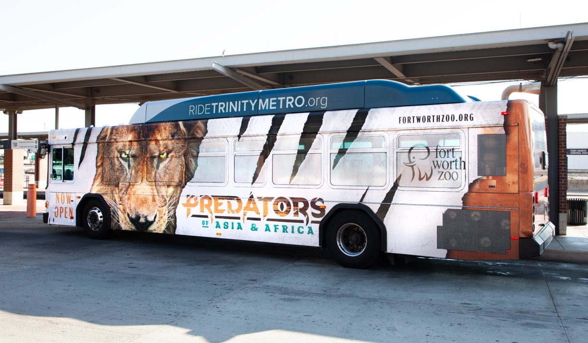 AdsposureMedia's tweet photo. Did you spot Fort Worth Zoo's fierce bus ads on Trinity Metro? π¦π These full-wrap ads caught our eyes and ignited our curiosity about the Zoo's new habitat, Predators of Asia & Africa!
#FortWorthZoo #TrinityMetro #ZooBusAds https://t.co/bmVotvvBrJ