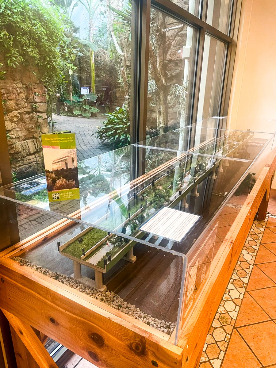 BisonBridge's tweet photo. Bison Bridge Foundation's roaming scale model of our proposed infrastructure project is now blooming at the Quad City Botanical Center. 🌿 Swing by and witness the fusion of nature and innovation!

#bisonbridgefoundation #bisonbridge #visitquadcities #qcbotanicalcenter https://t.co/ENLPsGJ6UV