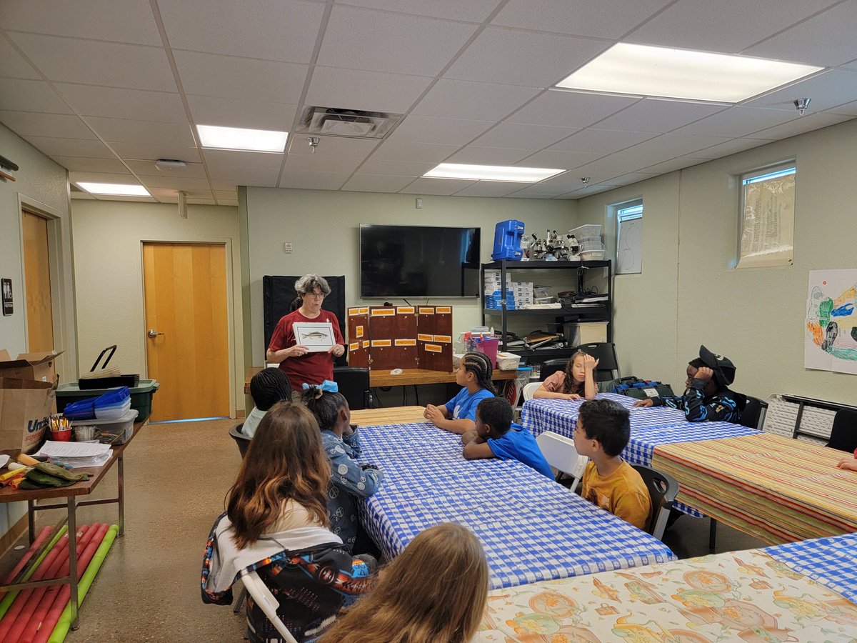 Kellie Hare tweet media