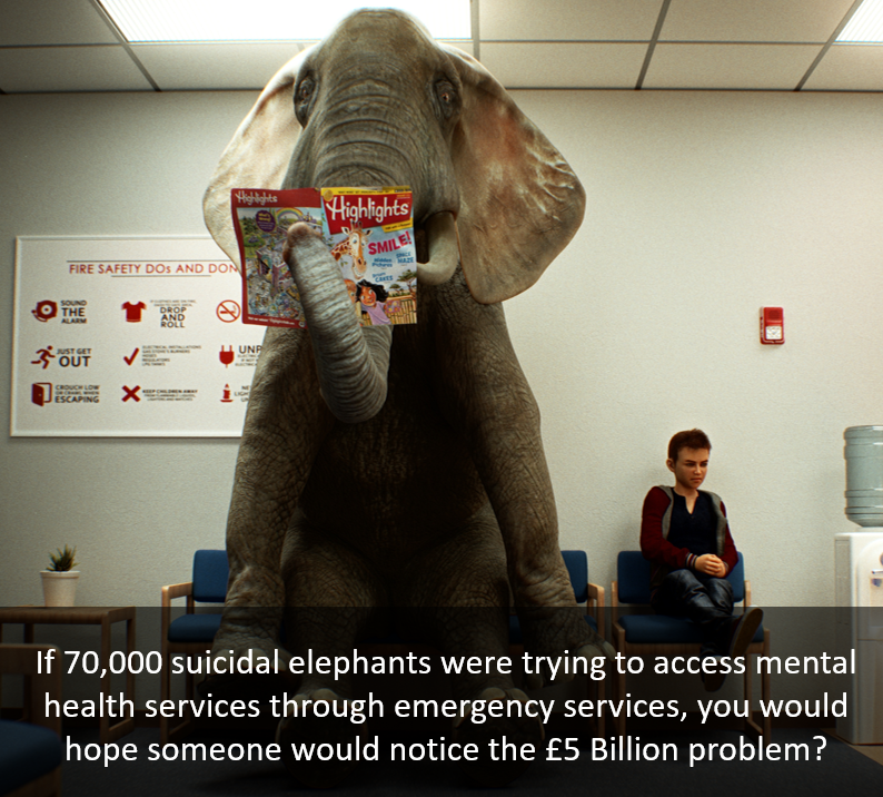 Paul Howarth - Akumen tweet media