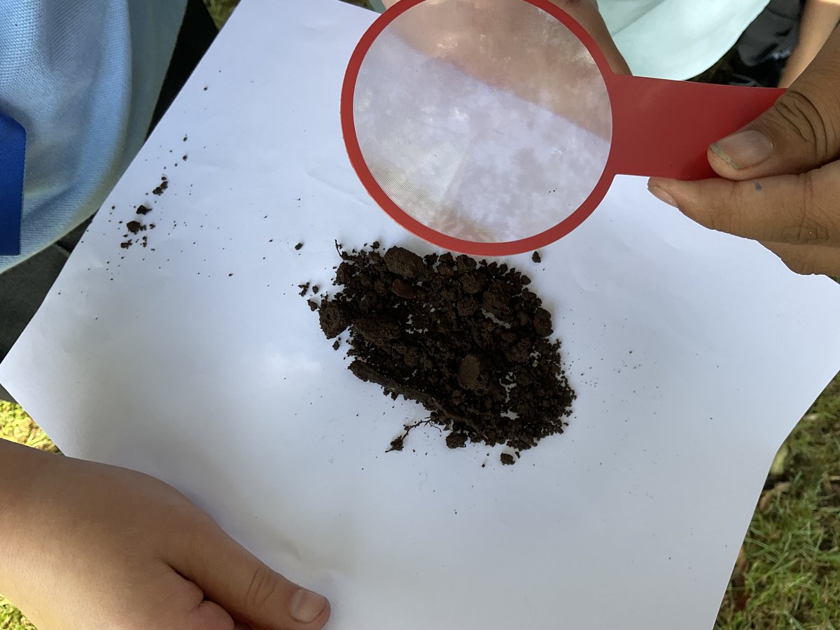 St Chad’s CofE Primary School, Lichfield tweet media