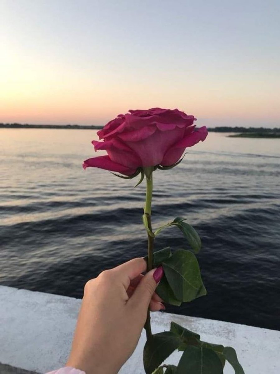 خميسكم جميل كالورده