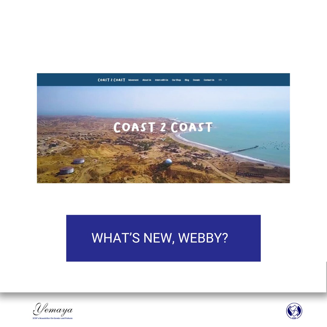 ICSF (@icsf1) on Twitter photo Coast 2 Coast, a Peruvian community-based nonprofit co-created the Small-Scale Fisheries Guidelines Curriculum for local educators & young learners to explore, envision, & encourage sustainable small-scale fisheries
To read more details, please visit bit.ly/48bUSjJ Coast 2 Coast, a Peruvian community-based nonprofit co-created the Small-Scale Fisheries Guidelines Curriculum for local educators & young learners to explore, envision, & encourage sustainable small-scale fisheries
To read more details, please visit bit.ly/48bUSjJ