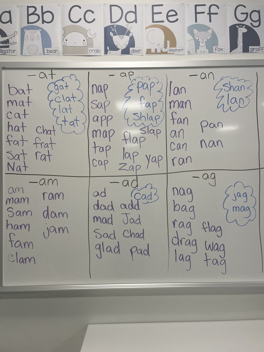 MissAPassi's tweet photo. Grade 1s are speeding through their short vowel a! Continuing word families today, along with a scavenger hunt around the room. @MHLondonOntario https://t.co/bONl9OV8MM