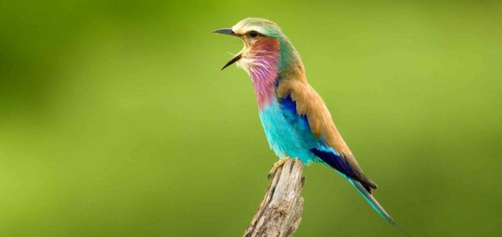 Ben Kubassek tweet media