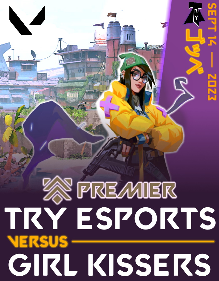 TRY Esports tweet media