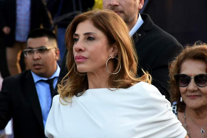 Carlos A. Dapello tweet media