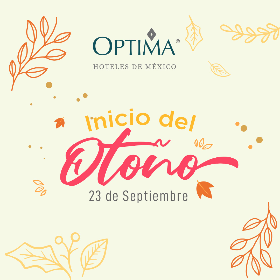 Optima Hoteles de México 🇲🇽 tweet media