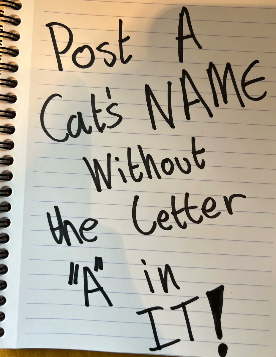 Why you should have a cat tweet media