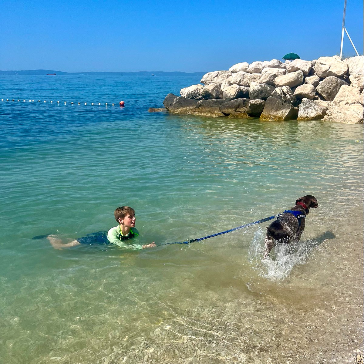 ivhq's tweet photo. "This was my second #volunteering experience with #IVHQ, this time it was my 12 year old son’s turn in #Croatia (previously was with my teenage daughter)."

📸  Nicola, 48
🇭🇷 https://t.co/GaIPzsSHgN

#volunteer #volunteerabroad #volunteertravel #travelwithapurpose #animalcare https://t.co/nJy8riGajf