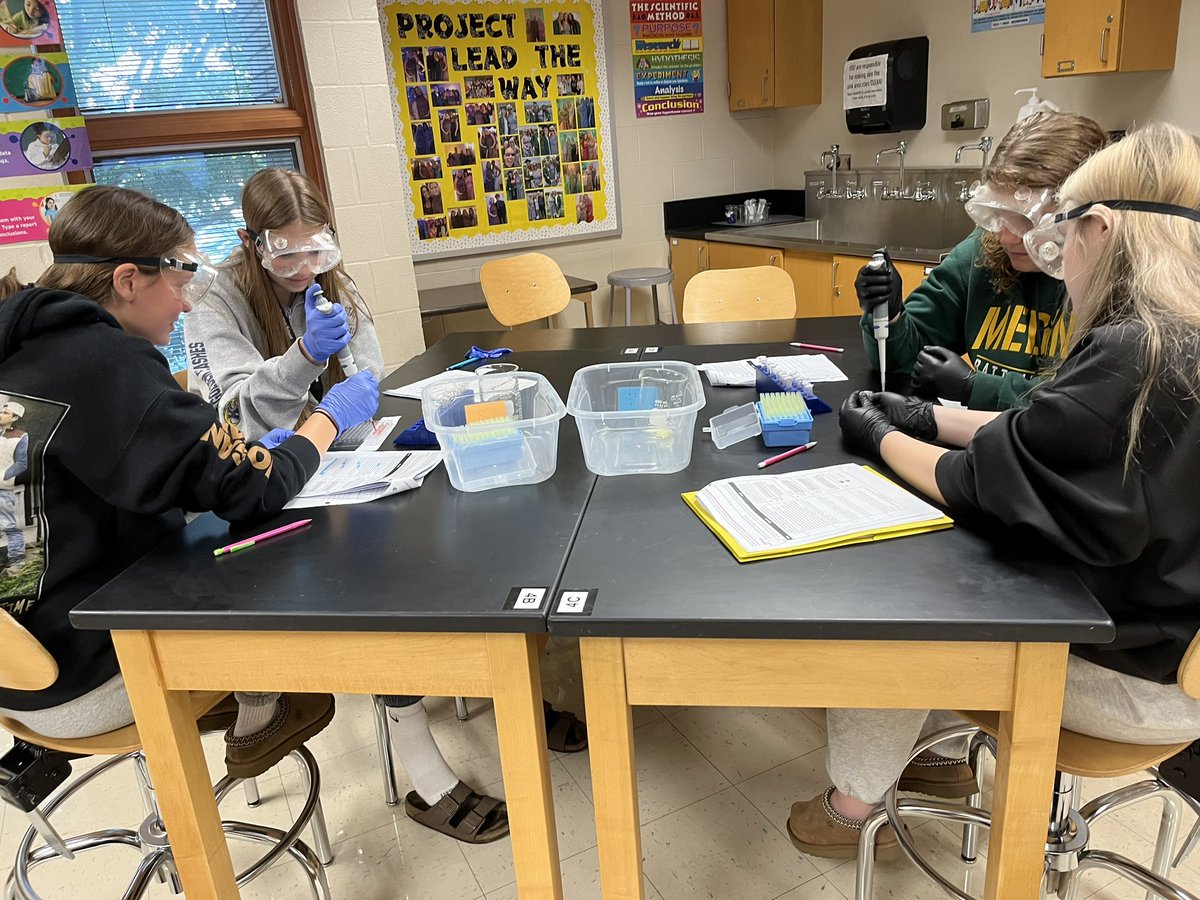 Blood Typing 🩸 in PBS

#PLTW #PBS #weRmedina #MCCCPLTW

PLTW is a collaboration between MCCC and MCS