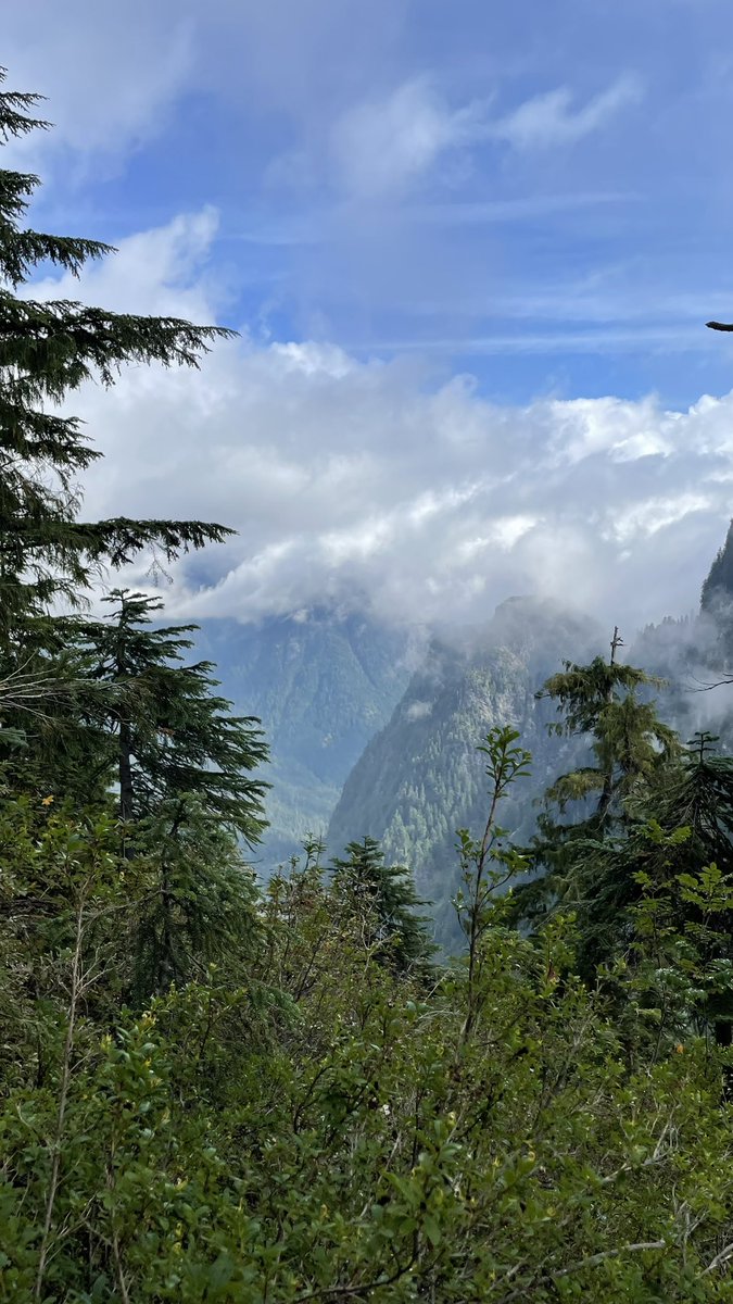 tachegua35's tweet photo. 🏔️ 🌲 https://t.co/GXfV5qT4XI
