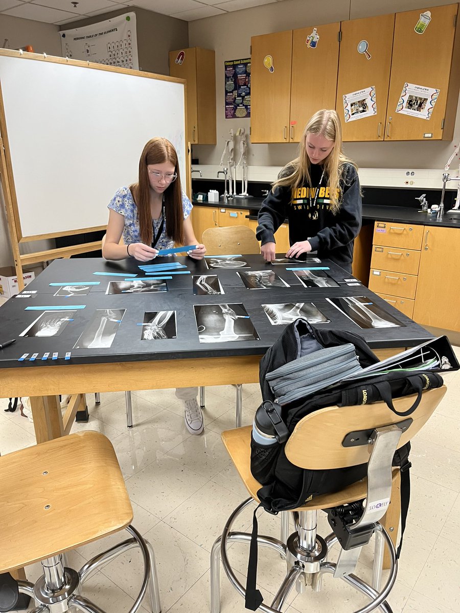 HBS X-Ray Shuffle! 🩻 taking what we learned about the bones and reorganizing X-rays and their fractures! 

#PLTW #HBS #weRmedina #MCCCPLTW

PLTW is a collaboration between MCCC and MCS