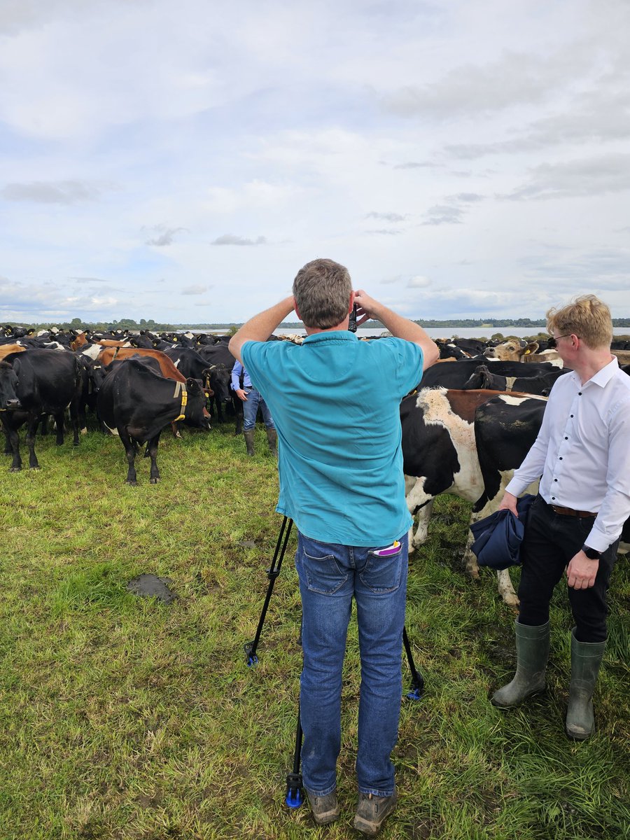 Irish Grassland Association CLG (IGA) tweet media