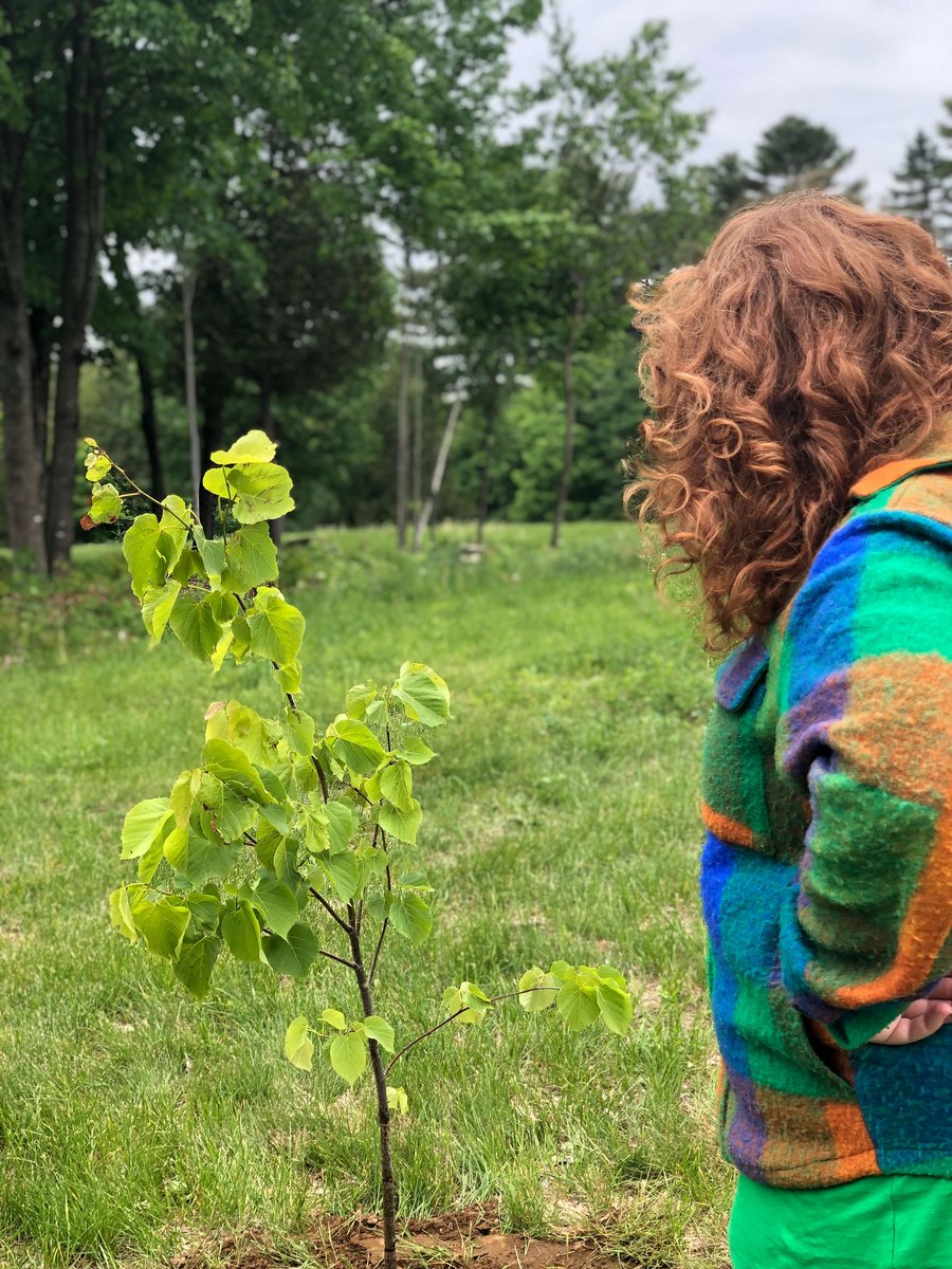 AventureZero's tweet photo. Une forêt vivante, un souvenir perpétuel. https://t.co/AQG2ZkpkvP https://t.co/zaMzXmes3O