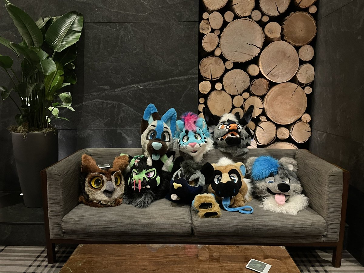 darklysynister's tweet photo. Fursuit pile from Furry Migration 2023 https://t.co/dIO1Cb8LHg