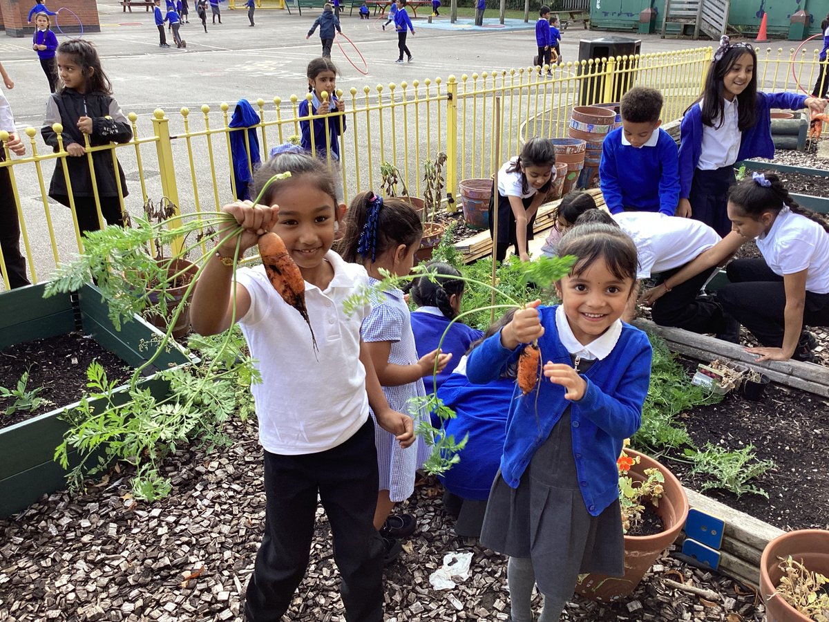 Wyvern Primary School tweet media