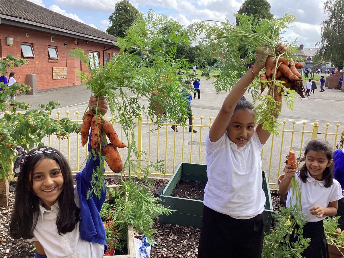 Wyvern Primary School tweet media