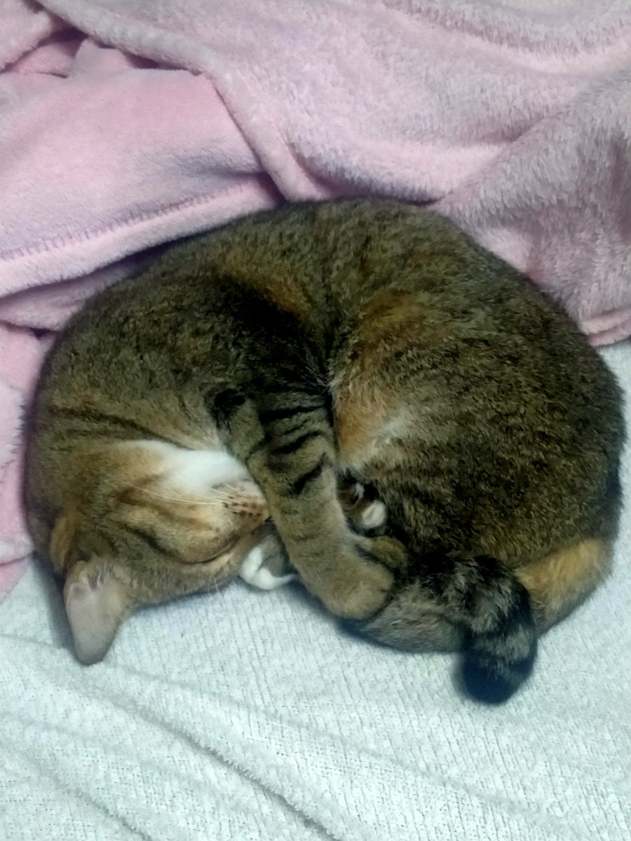 นั่งเฝ้ากันอยู่ดี ๆ ภาพตัดซะแล้ว