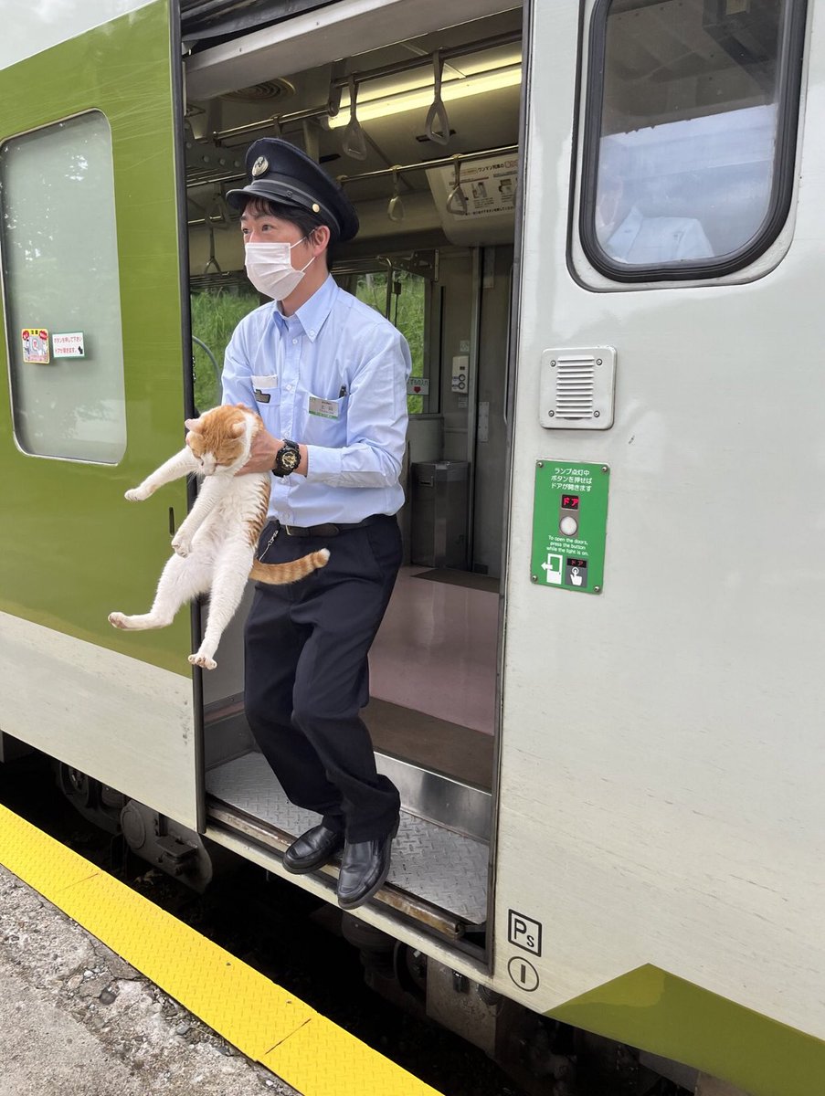 tyomateee2's tweet photo. 無賃乗車のため連れていかれる猫さんシリーズ、好きすぎる。 https://t.co/DYQoNg9sAg