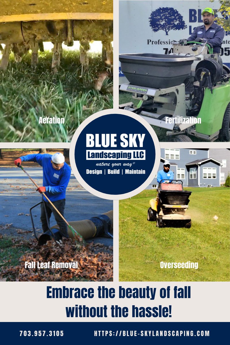 BlueSkyLScaping's tweet photo. 🌟 Time for a fall lawn makeover! Our leaf removal, aeration, and overseeding services will have your yard looking its best. Book now and enjoy a vibrant, lush lawn next spring! 🏡🍂

#LawnMakeover #FallServices #BlueSkyLandscaping #FallInLove https://t.co/6IZO4PPJTM